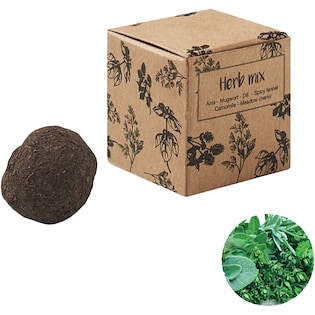 Plantebold Clearville