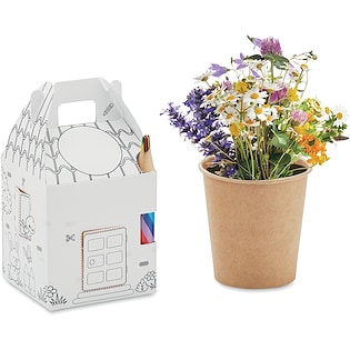 Dyrkningssæt Cillian