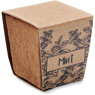 Dyrkningssæt Minty